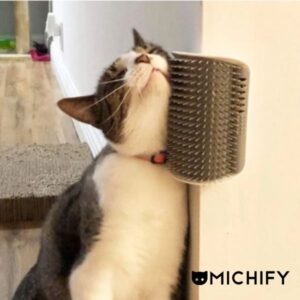Cepillo de Masaje Fijo para Gatos